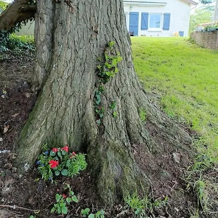 La Passerelle ,montreuil ,le Mans *