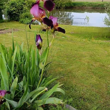 La Passerelle ,montreuil ,le Mans Prázdninový dům Neuville-sur-Sarthe
