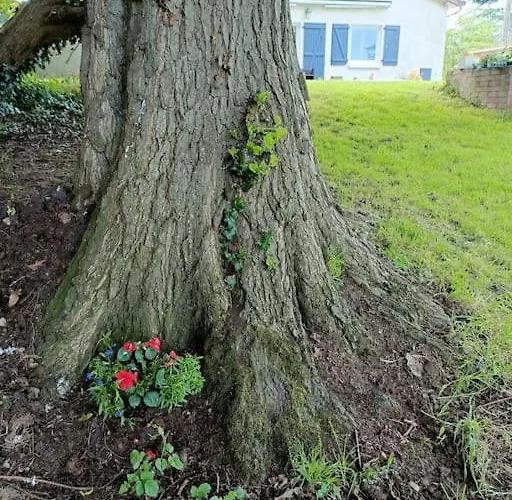 La Passerelle ,montreuil ,le Mans *